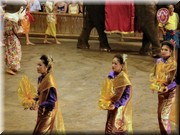 CLICK to enlarge image and start slideshow.

Image ID: DSCN6830