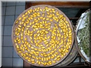CLICK to enlarge image and start slideshow.

Image ID: DSCN7189